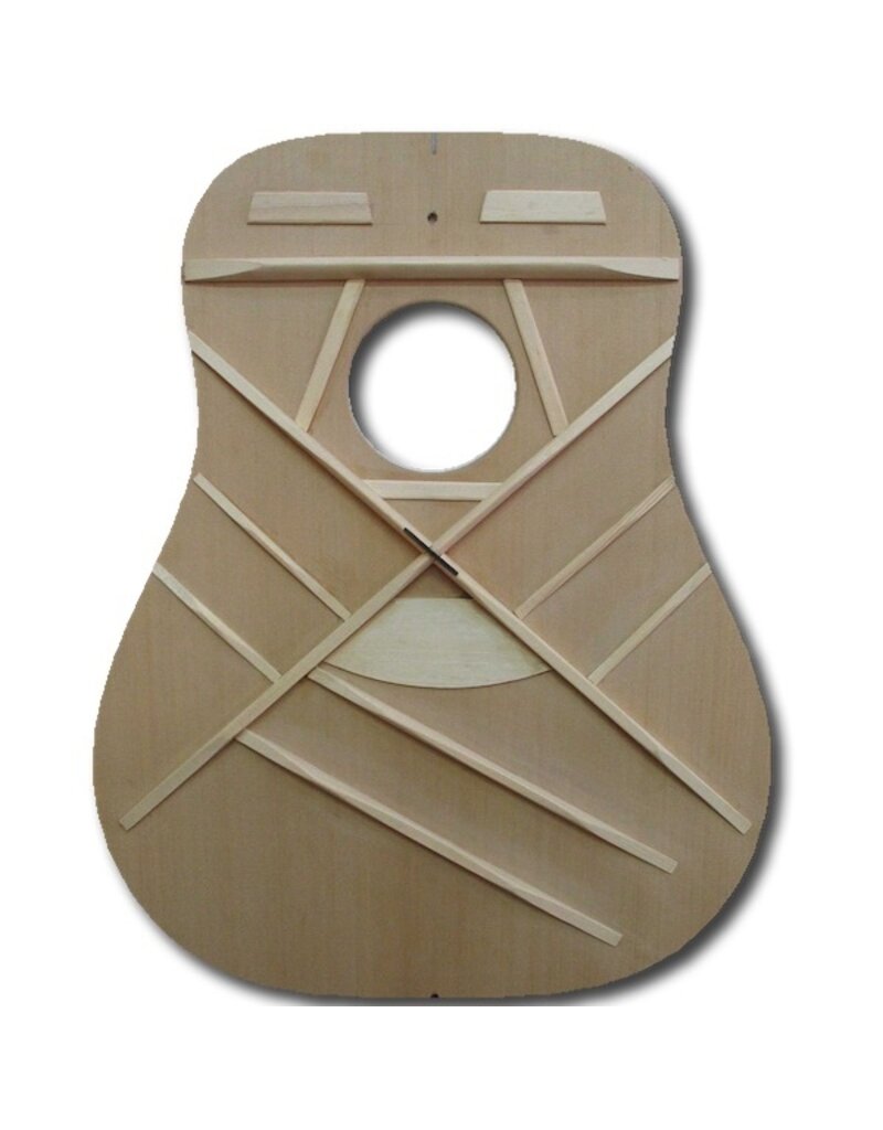 Walden D450 acoustic guitar