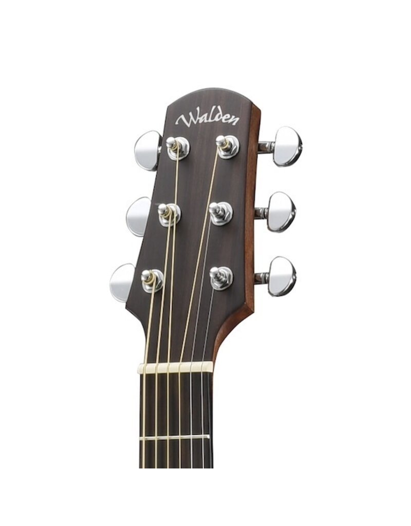 Walden D450 acoustic guitar