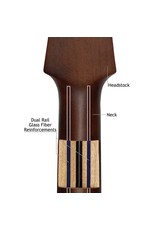 Walden D450 acoustic guitar