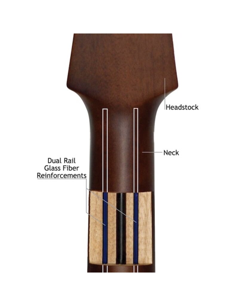 Walden D450 acoustic guitar