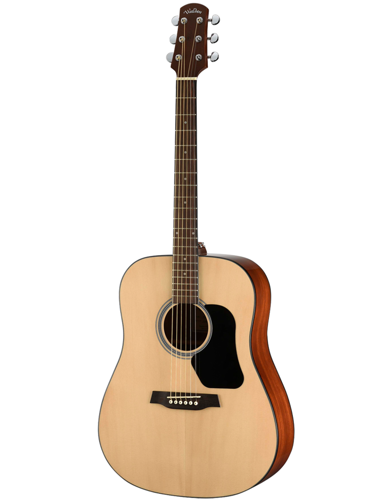 Walden D450 acoustic guitar