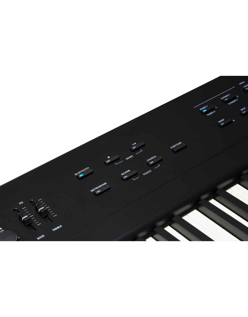 Kurzweil Ka E1 Portable Digital Piano