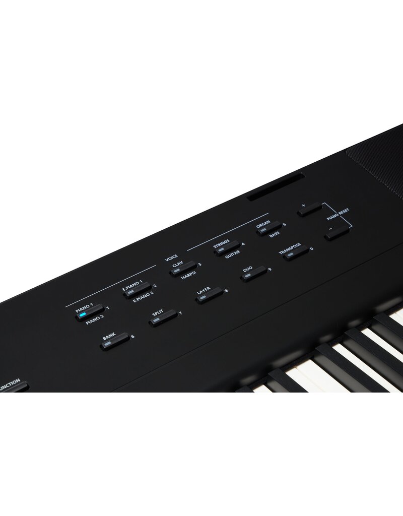 Kurzweil Ka E1 Portable Digital Piano