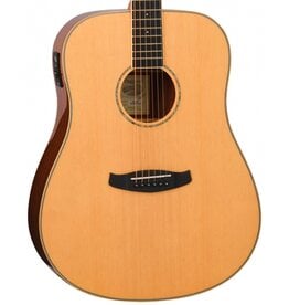 Tanglewood TRX5E akoestisch/elektrisch gitaar
