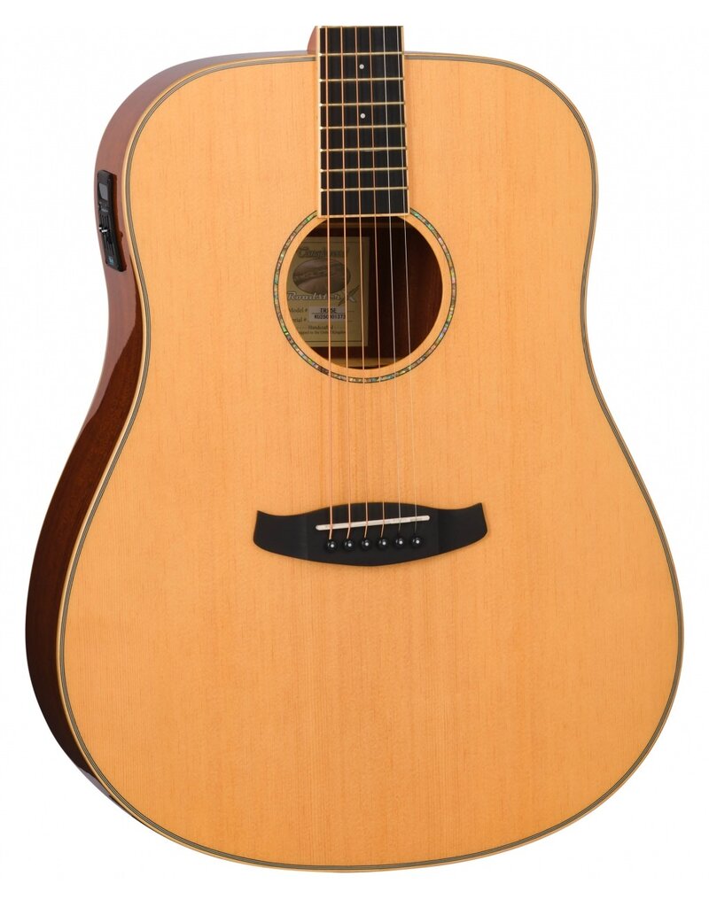 Tanglewood TRX5E akoestisch/elektrisch dreadnought gitaar