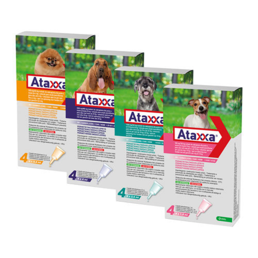 Ataxxa Hund | Behandling af lopper og flåter hunde Ormepiller.eu