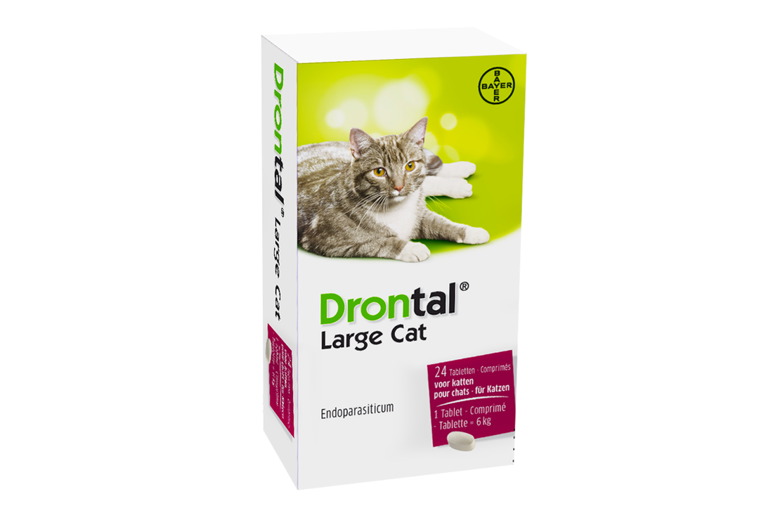 Drontal Kat