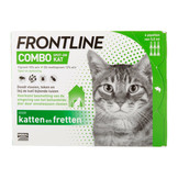 Frontline Combo Cat