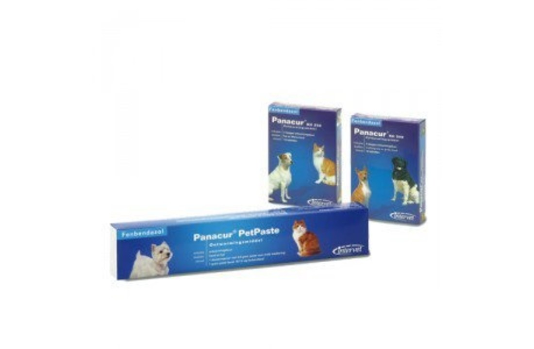 Panacur Dog/Cat