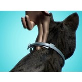 Seresto Collar Cat