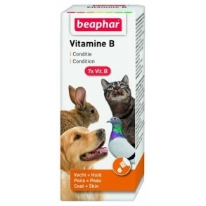Vitamin B Drops
