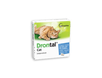 sikkerhed Recollection Uenighed Drontal Kat | Ormekur til voksne katte og kattekillinger - Ormepiller.eu