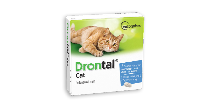 salat Antibiotika foran Drontal Kat | Ormekur til voksne katte og kattekillinger - Ormepiller.eu
