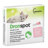 Dronspot Cat