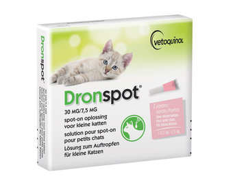 Dronspot Kat