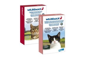 Milbemax Kat