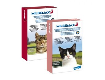 Milbemax Cat