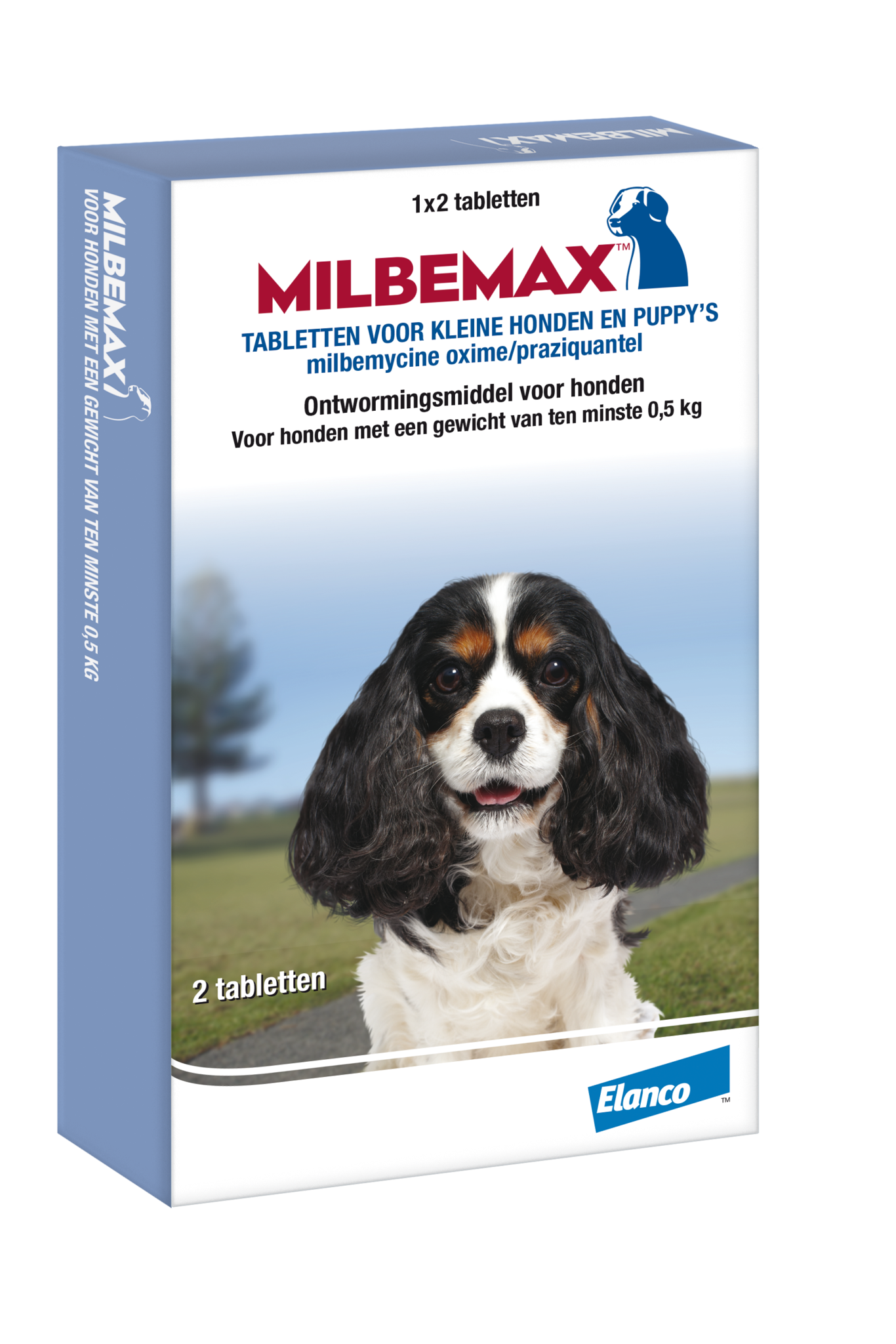 Milbemax Hund