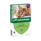Advantage Cat