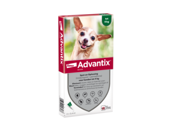 Advantix Dog