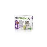 Milprazon Cat