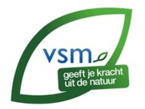 VSM