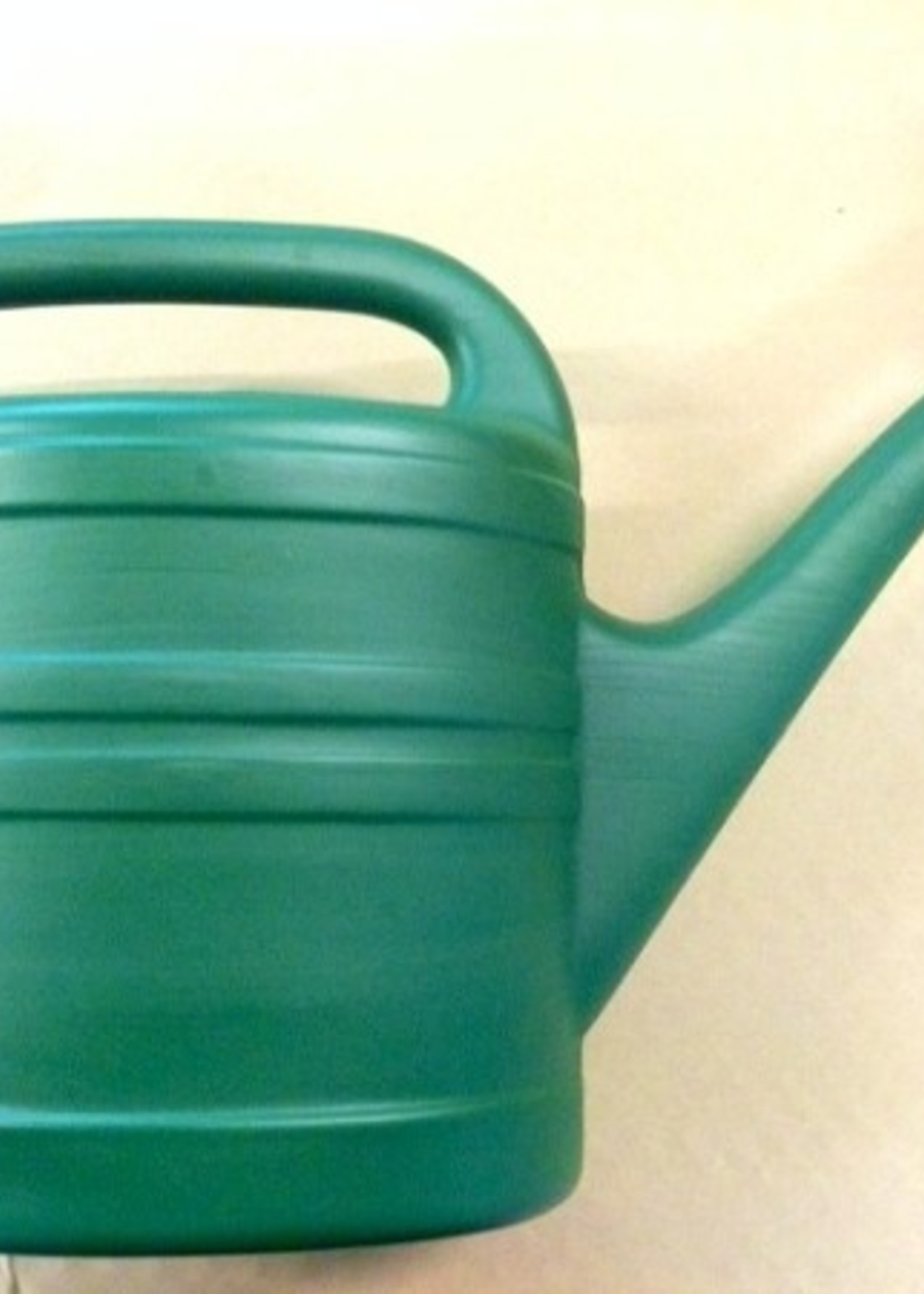 Ebert gieter 5,0 liter groen