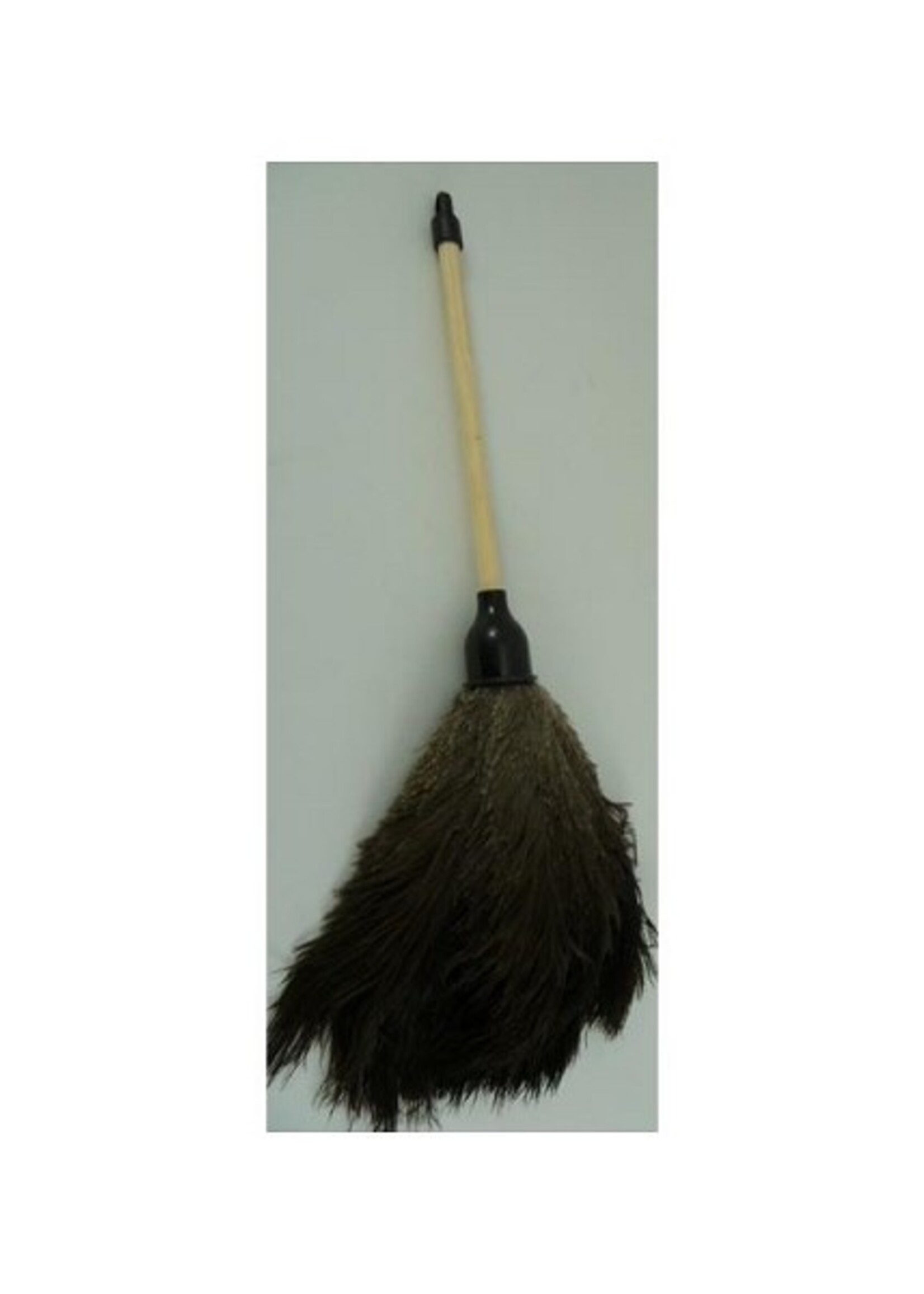 Plumeau in struisvogelveren PLHB1