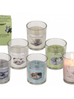Geurkaars in glas Ø6x7,5cm verpakt in doosje
