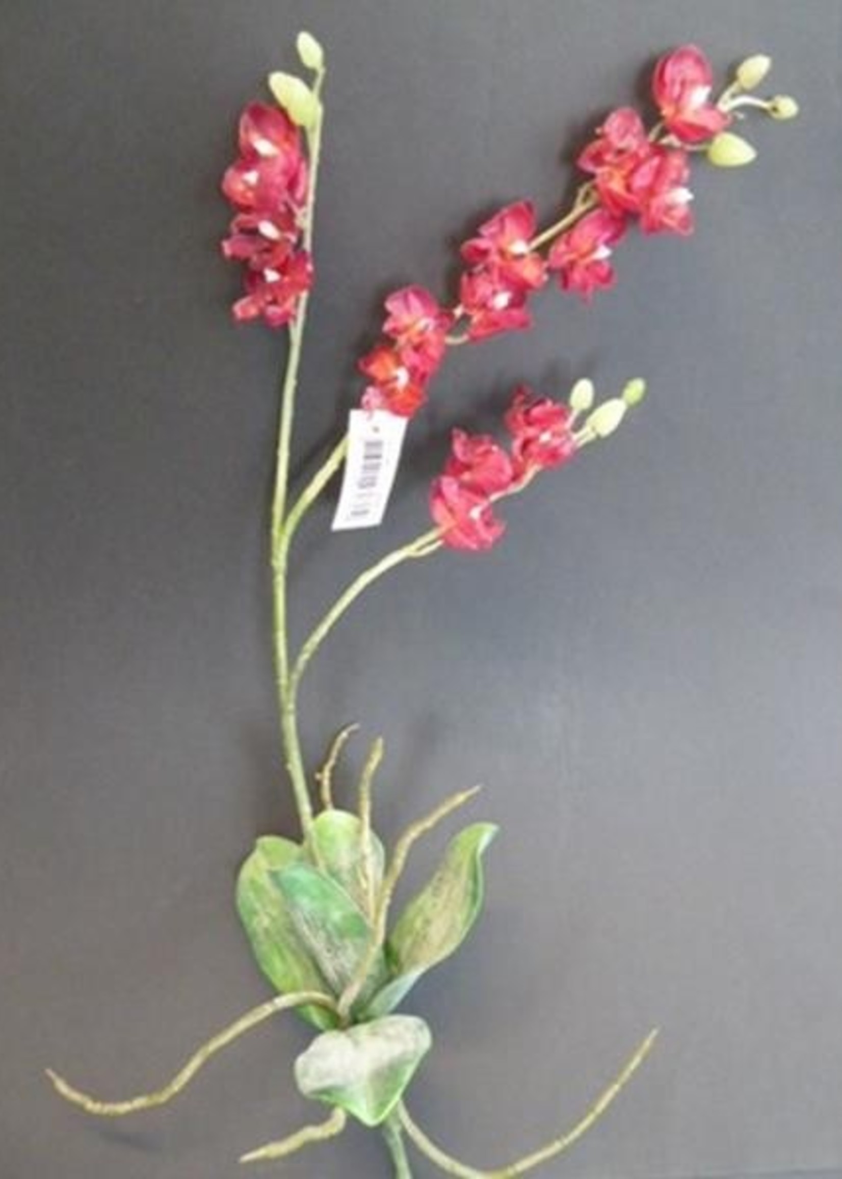 Kunstbloem orchidee phalaenopsis rood