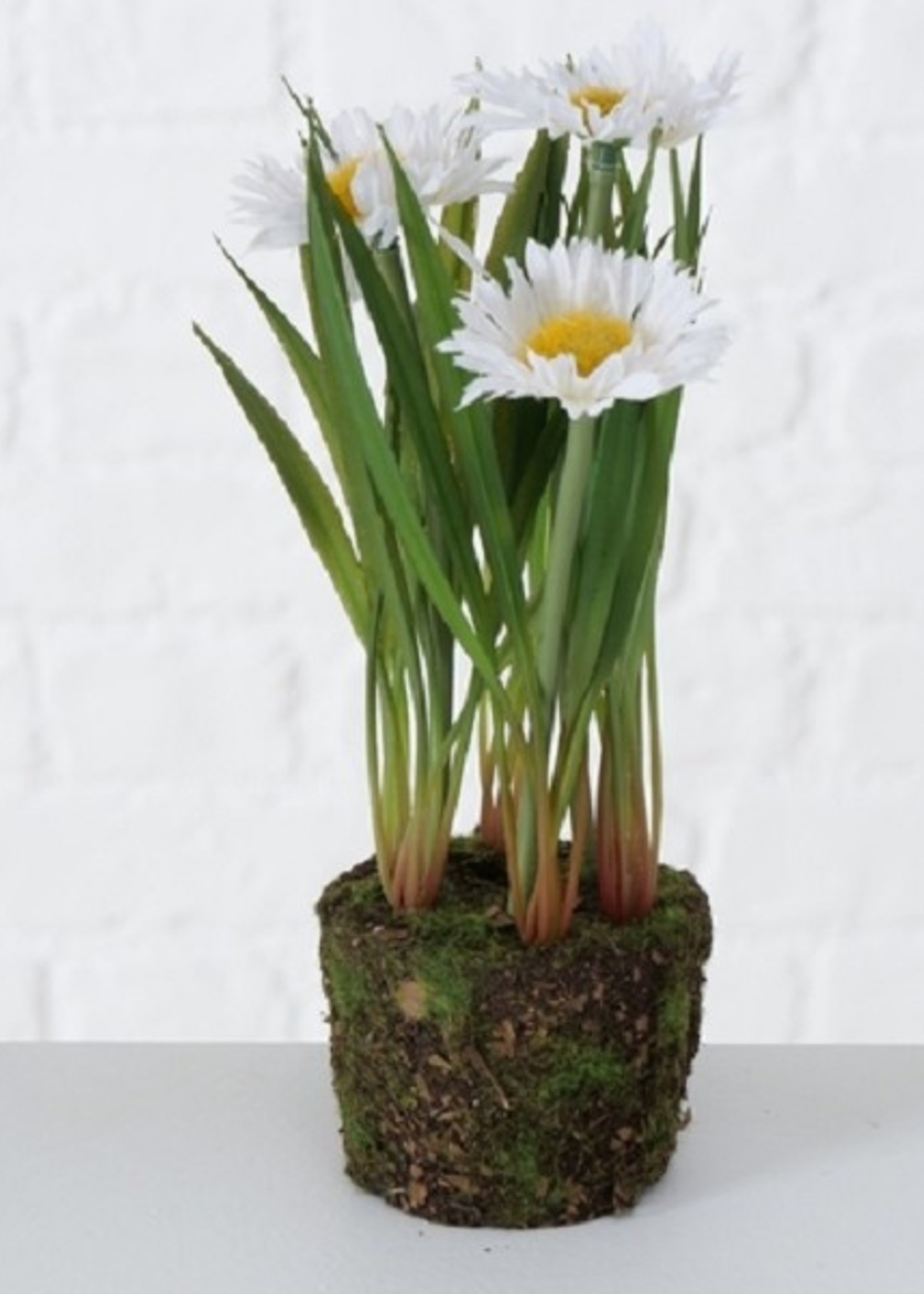 Kunstbloem Boltze Home Kunstplant H 20 cm