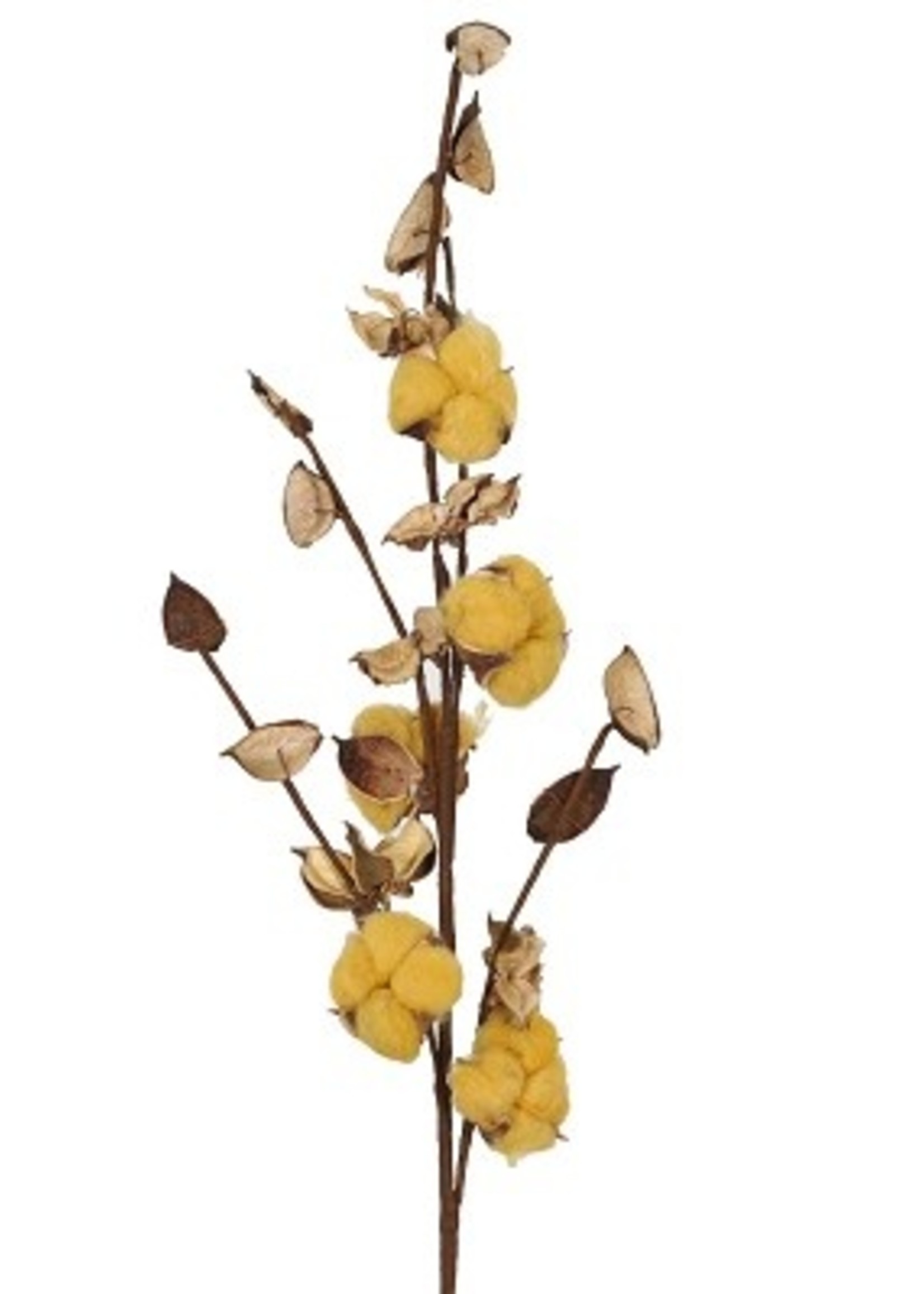 Kunstbloem Katoen tak 75cm