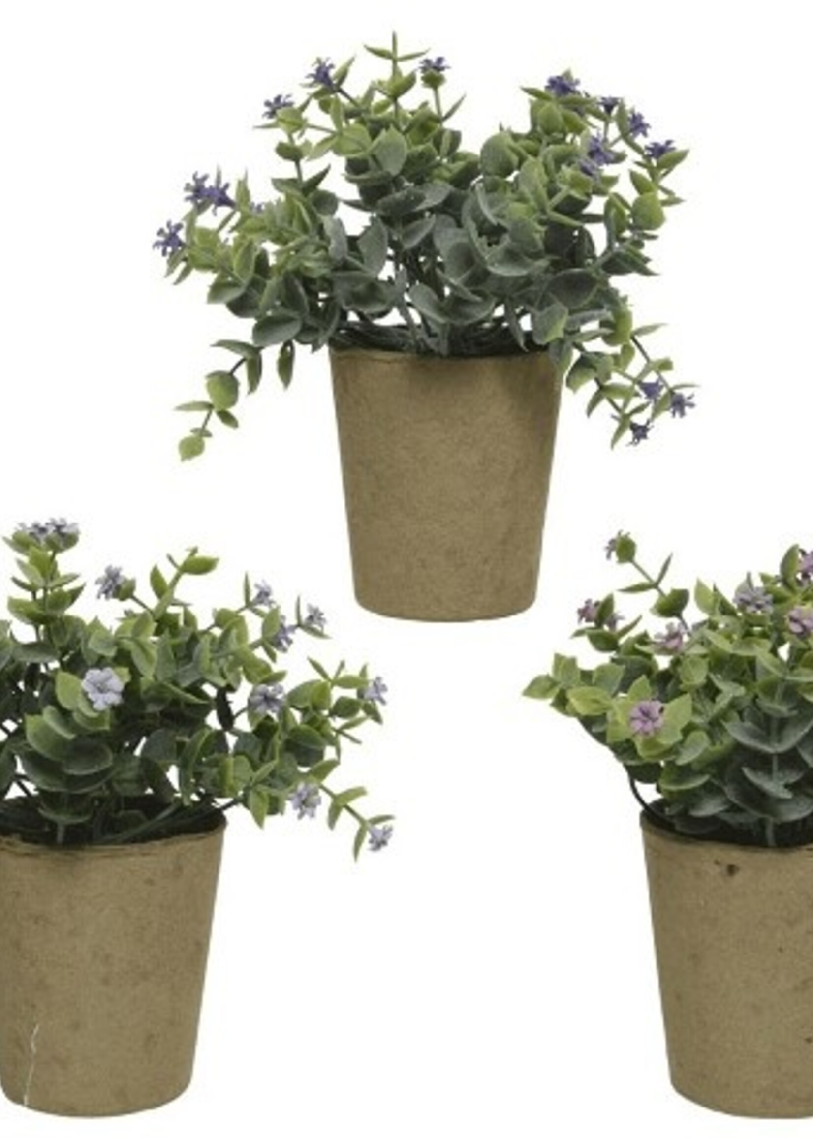 Kunstplant in pot Ø21--H15cm