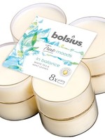 Bolsius Maxilicht geur 8 stuks True Moods In Balance