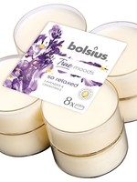 Bolsius Maxilicht geur 8 stuks True Moods So Relaxed