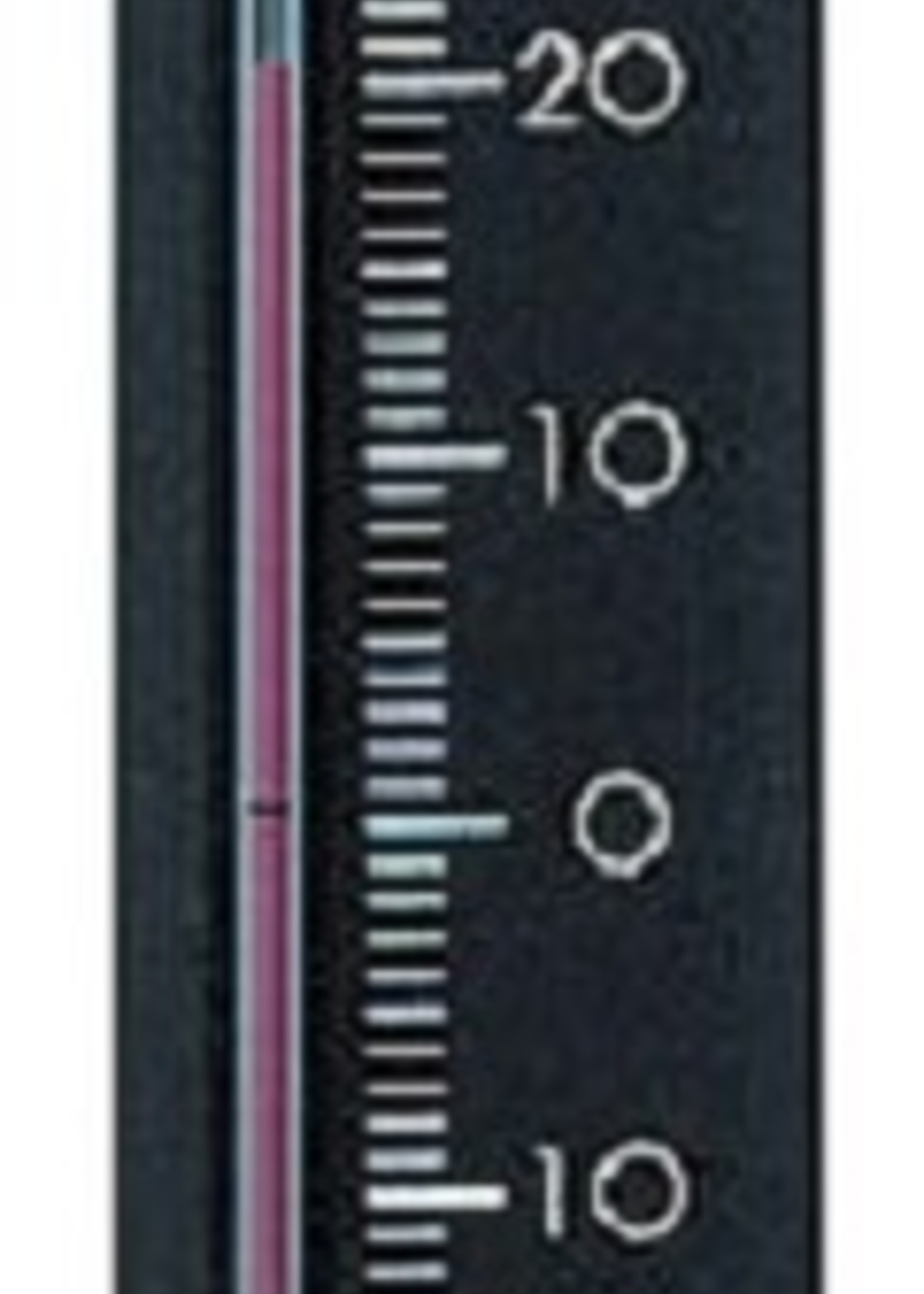 Dr.Friedrichs kamerthermometer zwart of wit 17cm