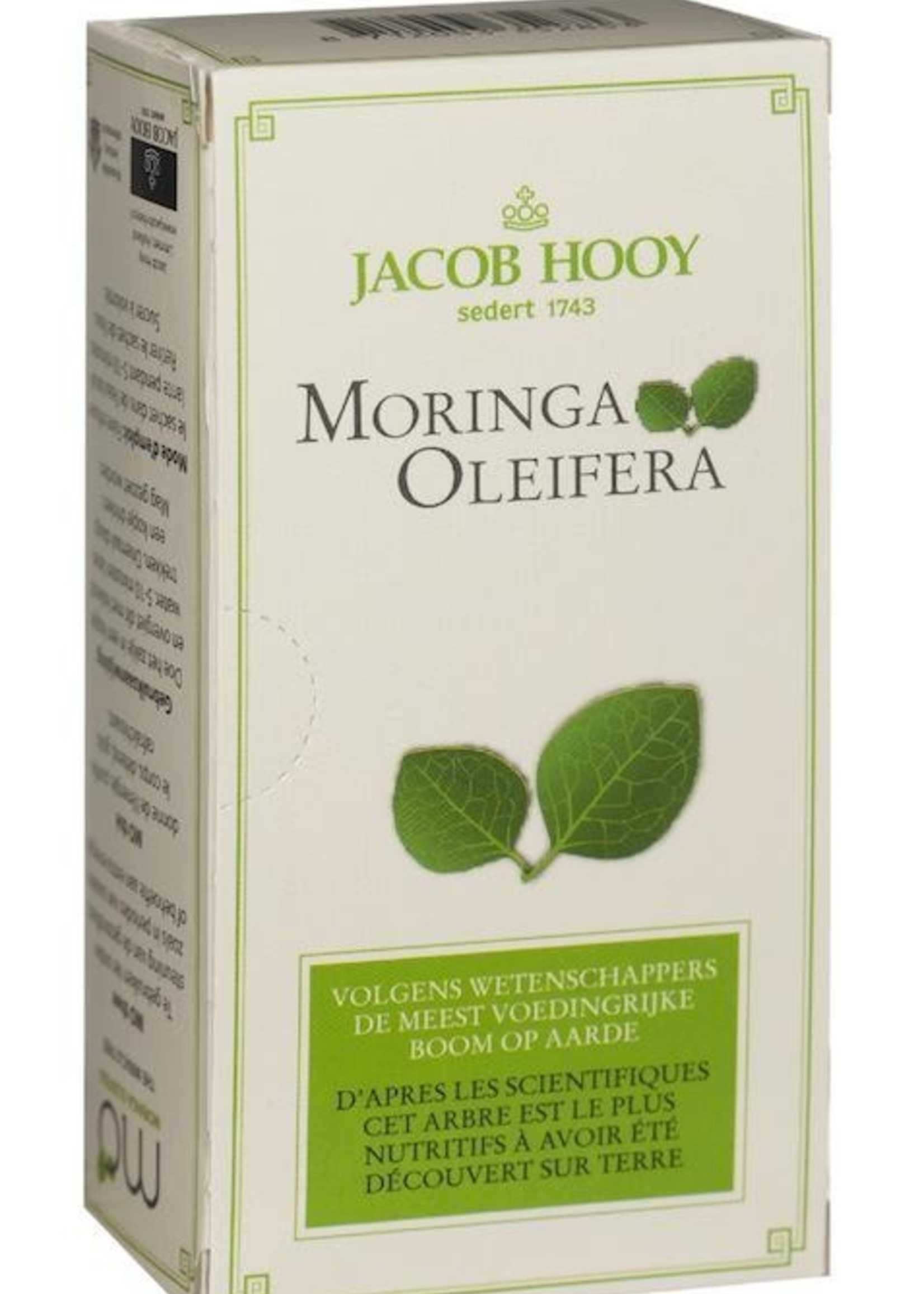 Moringa oleifera 20st