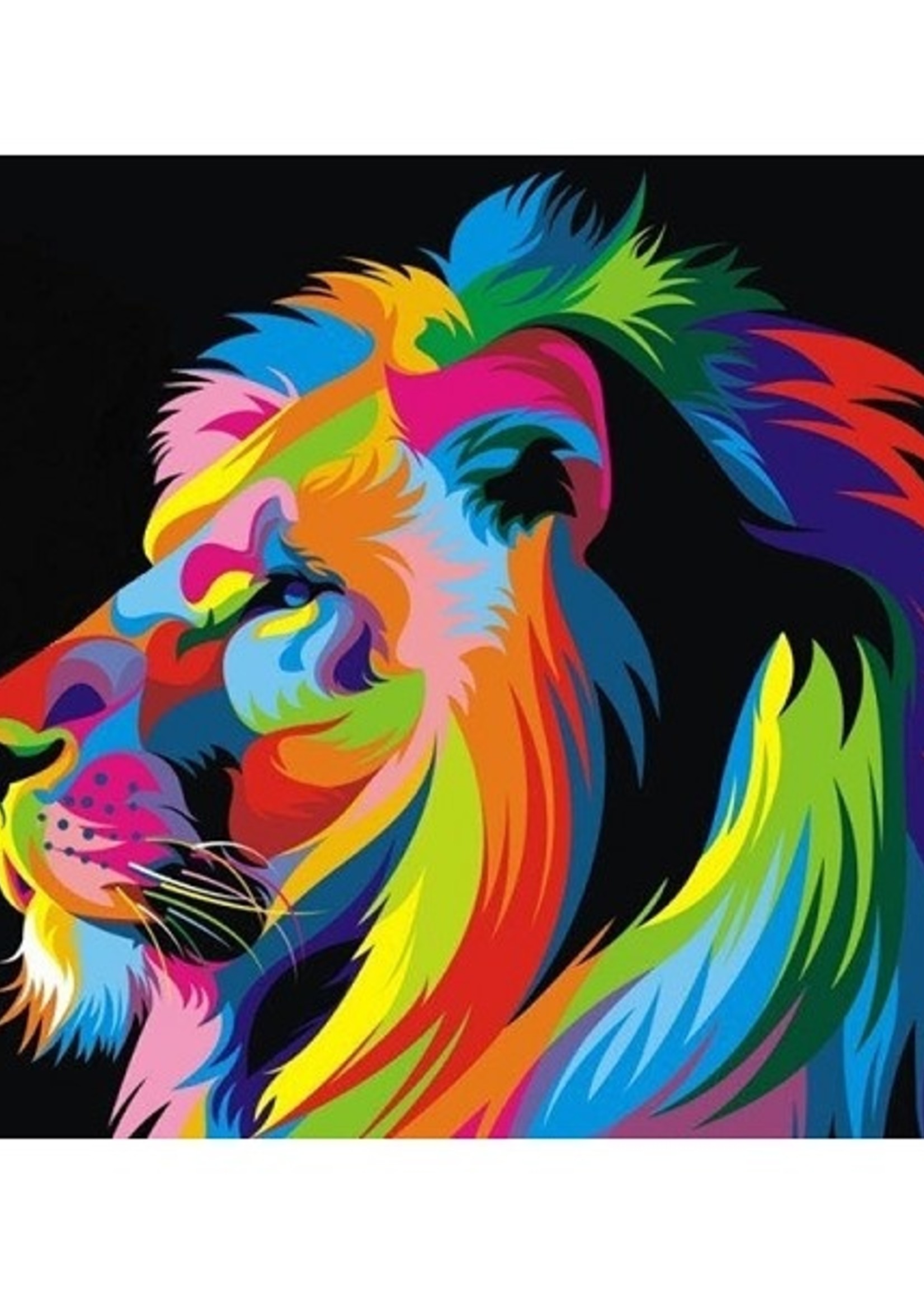 Toi Toys Diamant schilderen op canvas 40x50cm