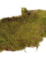 Hobby Flat Moss 80gram Naturel