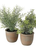 Boltze Home Plant Rosemary in kunststof pot H23cm