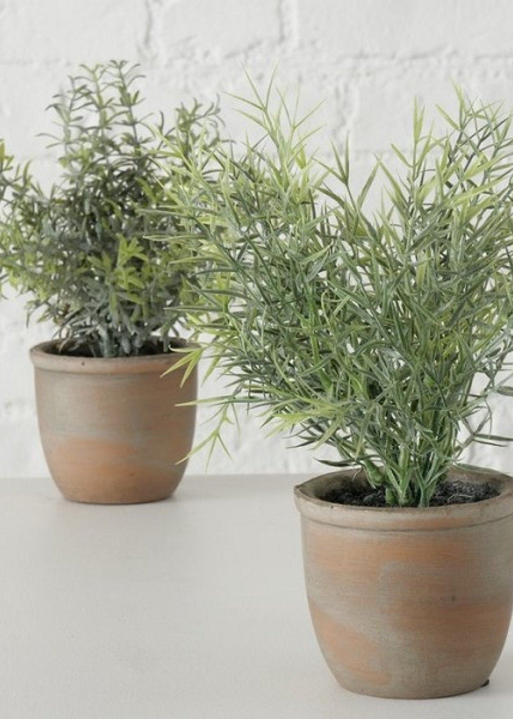 Boltze Home Plant Rosemary in kunststof pot H23cm