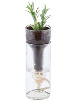 Esschert Design Fles bloempot met water reservoir Ø7,5x21cm (exclusief plant)