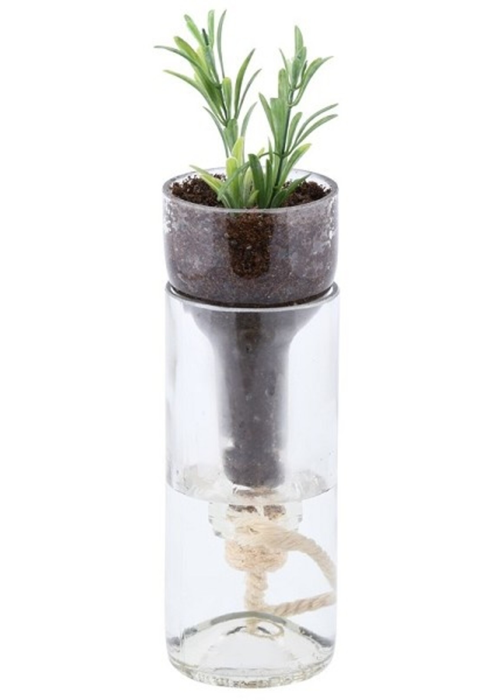 Esschert Design Fles bloempot met water reservoir Ø7,5x21cm (exclusief plant)