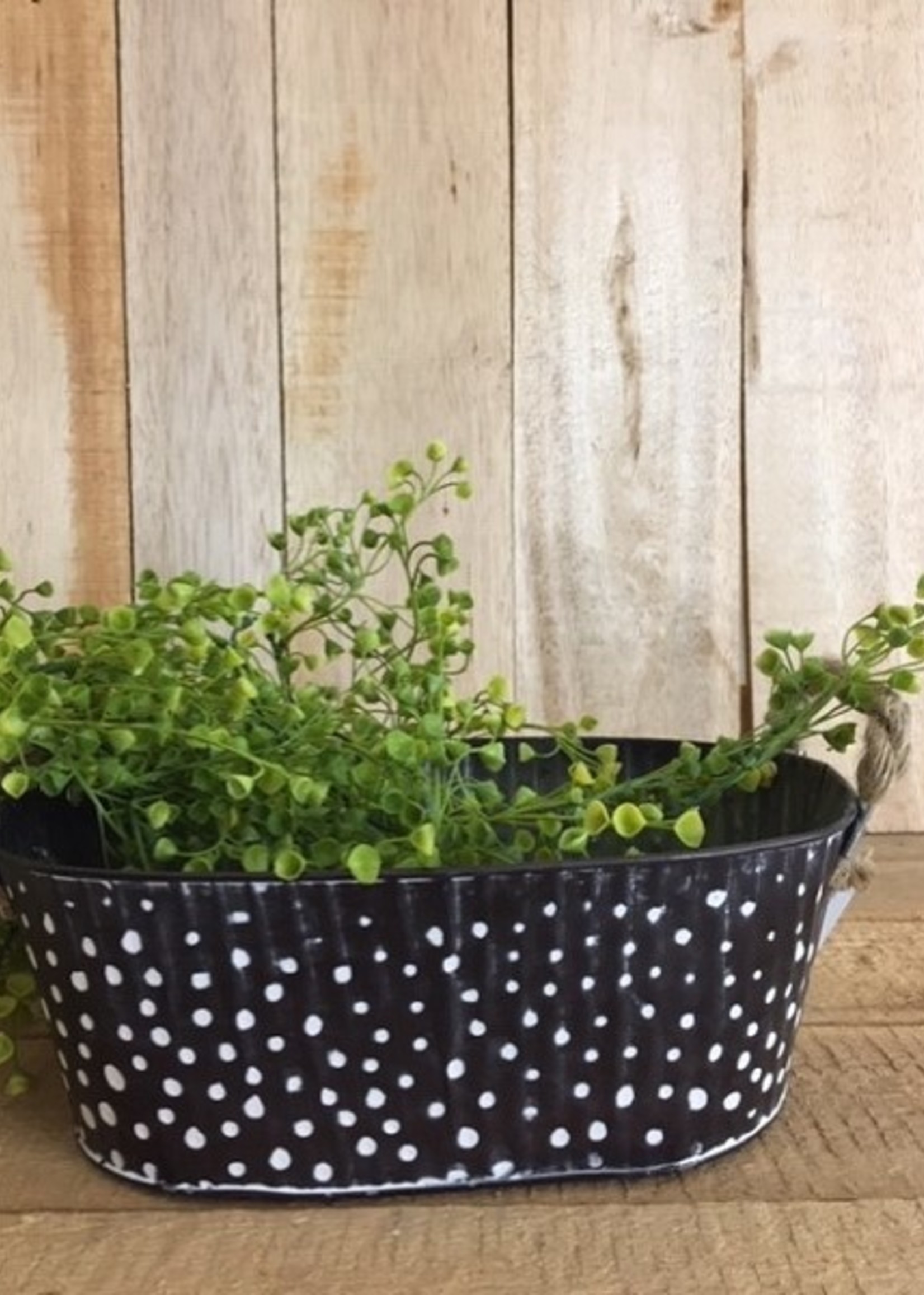 Zinken teil ovaal zwart met stippen 30x18x11cm