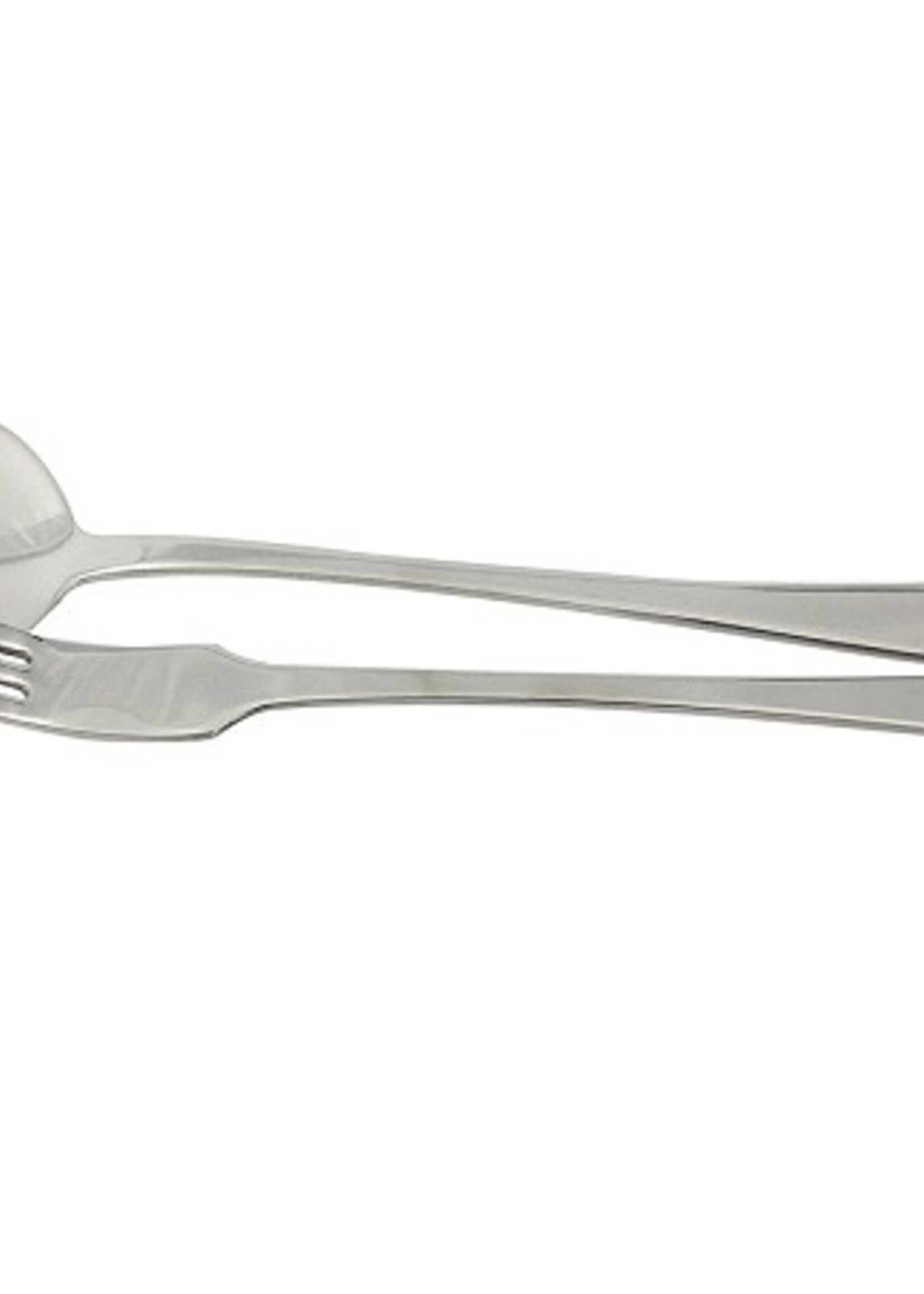 Spaghetti bestek 2 delig RVS