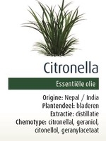 Physalis Citronella bio 10ml