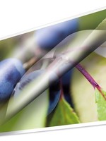 Kangaro Lamineerhoezen A4 80 micron pak a 25 vel