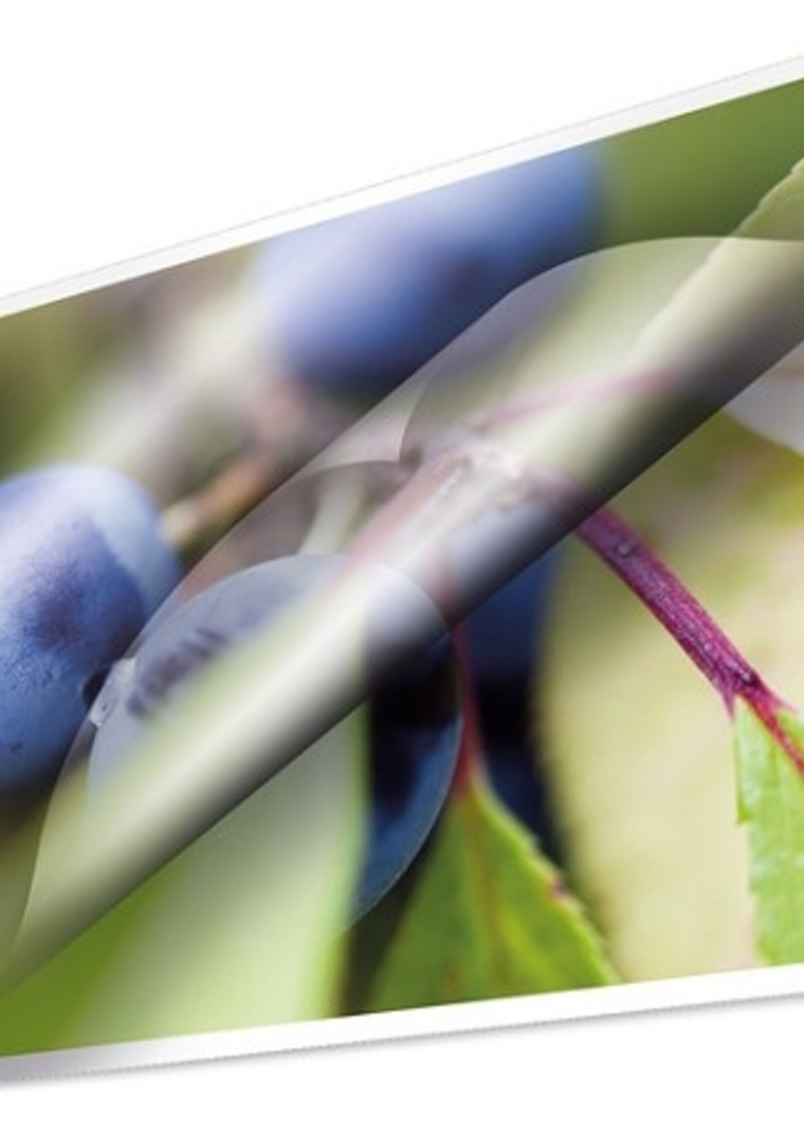 Kangaro Lamineerhoezen A4 80 micron pak a 25 vel