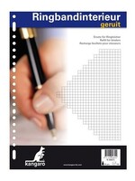 Ringbandinterieur 23r ruit 5 mm.