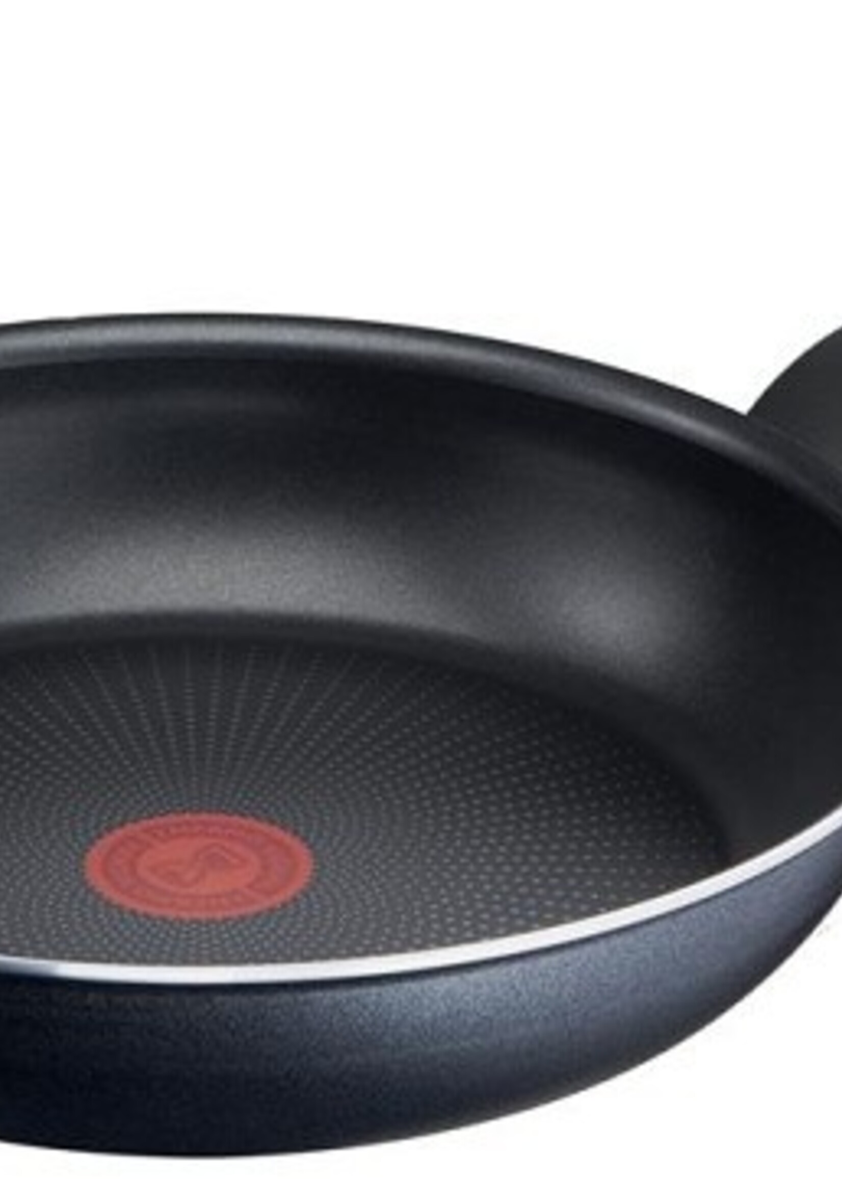 Tefal XL Force Koekenpan 20cm